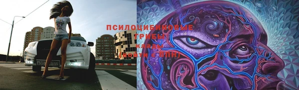 гидропоника Абинск