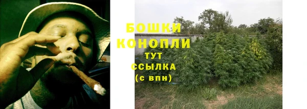 ГАЛЛЮЦИНОГЕННЫЕ ГРИБЫ Аркадак