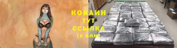 ГАЛЛЮЦИНОГЕННЫЕ ГРИБЫ Аркадак