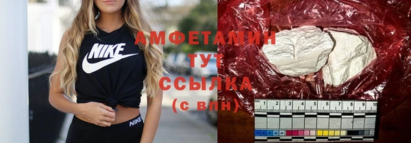 ГАЛЛЮЦИНОГЕННЫЕ ГРИБЫ Аркадак