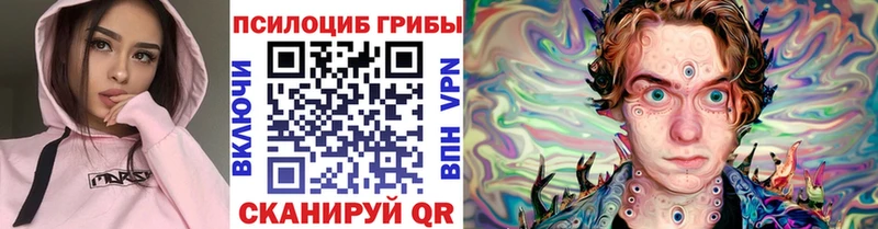 Псилоцибиновые грибы Psilocybe  shop клад  Раменское 